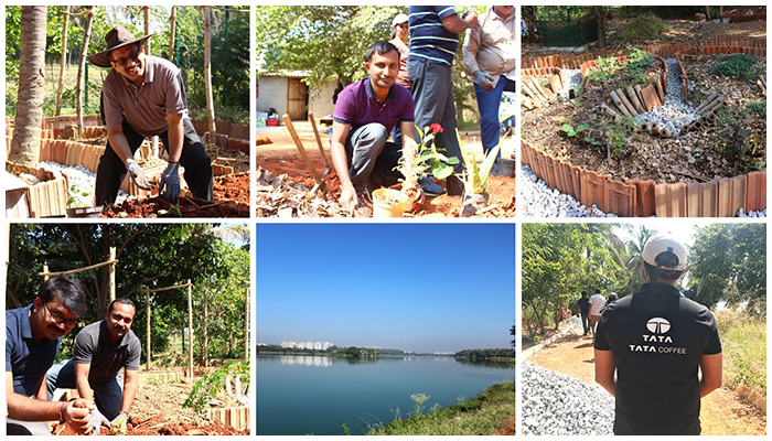 Tata Coffee employees volunteered to create Bangalore’s first ever community garden