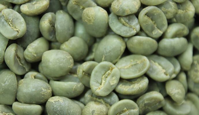 Washed Arabica Coffee Beans - Tata Coffee